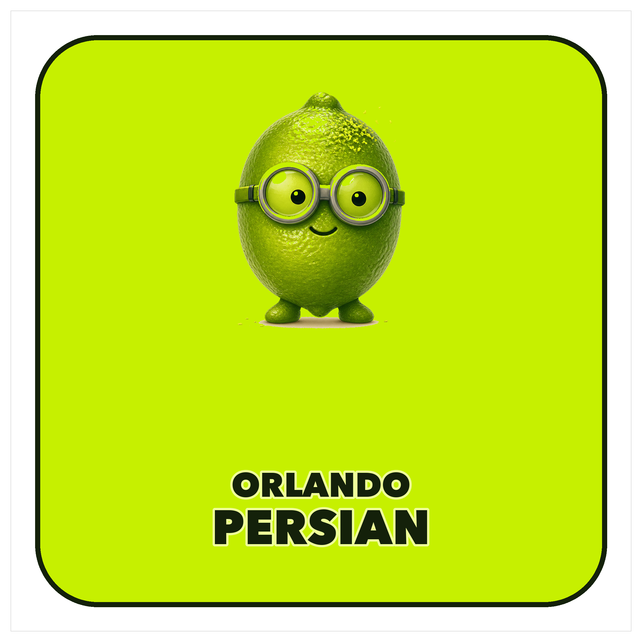 Persian Orlando fridge magnet